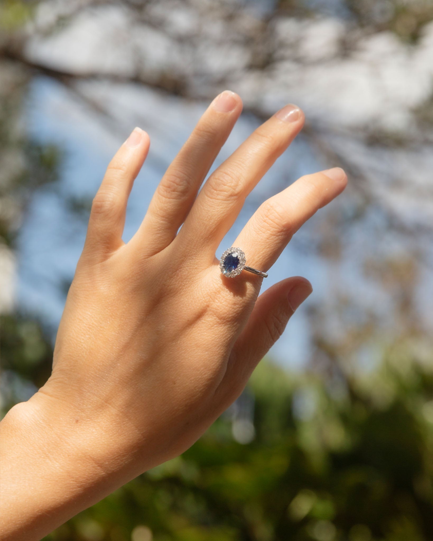 Chrissie Blue Sapphire & Diamond Halo Ring 18K White Gold Rings Anthology Jewellers 